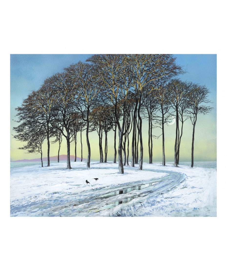 Early Morning trees - Crosby